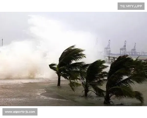 博梅尔夺金后与教练深情拥抱画面登顶热搜瞬间震撼全网